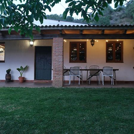 The Wild Olive Andalucia Palma Guestroom Casares Ngoại thất bức ảnh