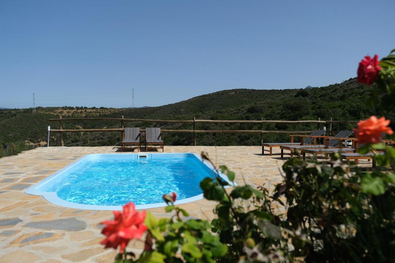The Wild Olive Andalucia Palma Guestroom Casares Ngoại thất bức ảnh