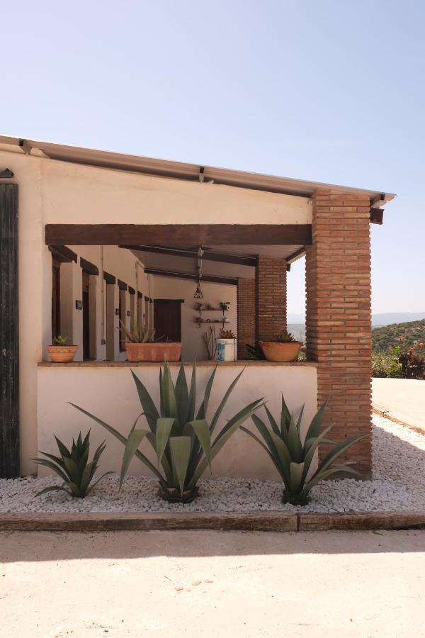 The Wild Olive Andalucia Palma Guestroom Casares Ngoại thất bức ảnh