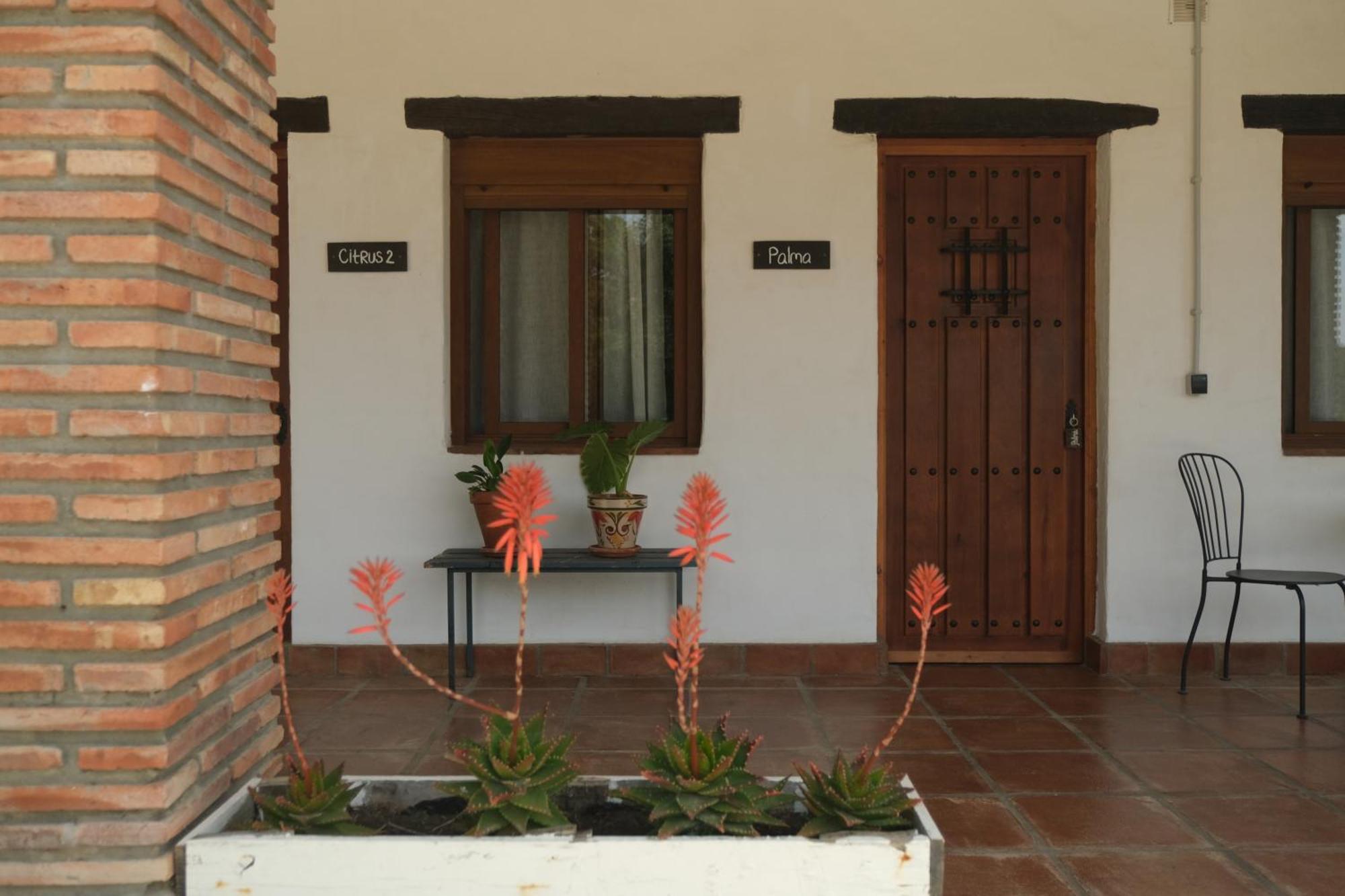 The Wild Olive Andalucia Palma Guestroom Casares Ngoại thất bức ảnh